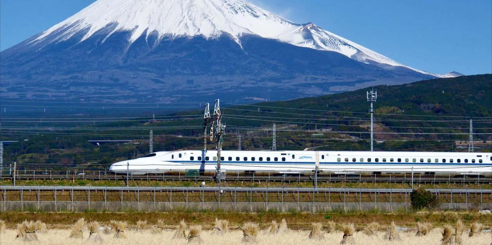 From Tokyo: Mt. Fuji & Hakone Tour w/ Return by Bullet Train