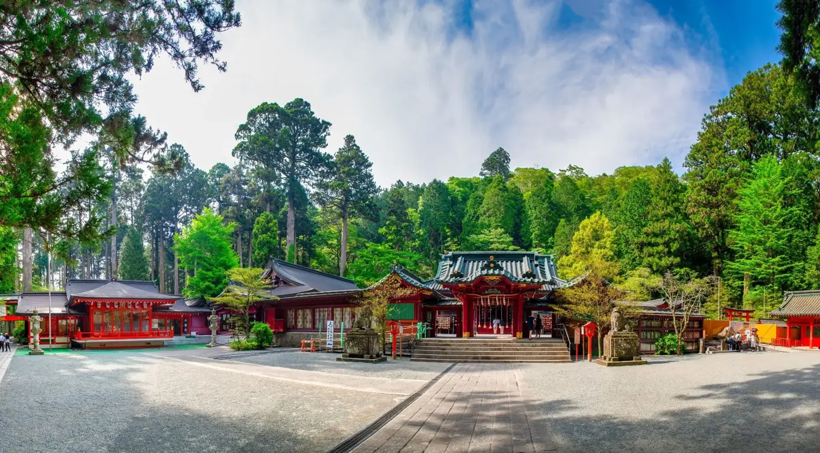 Shrine grounds among tall trees